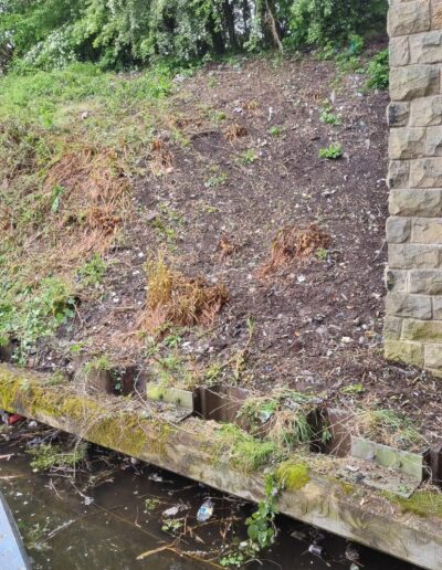 Cleared earth by canal
